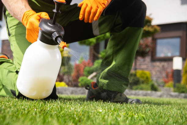 Best Pest Control Treatment  in Farmingdale, NJ